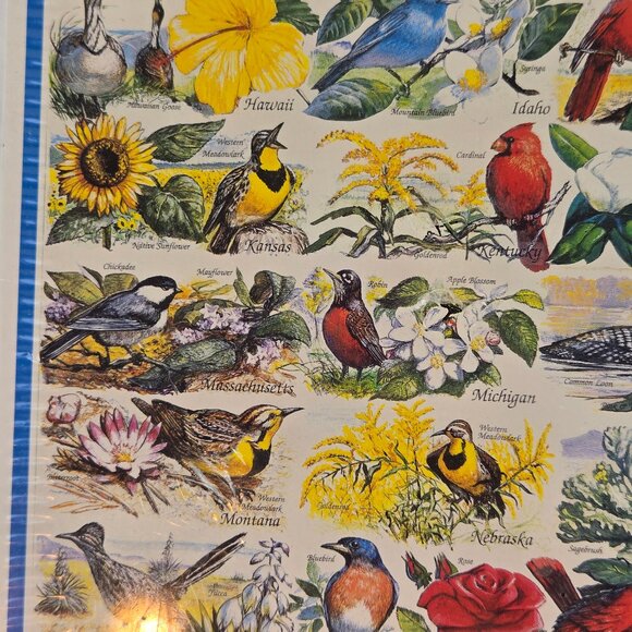 White Mountain Puzzles Sate Birds & Flowers 1000 Piece Jigsaw Puzzle NWT - Picture 4 of 9